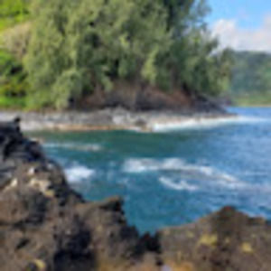 Meet your Posher, Onforward